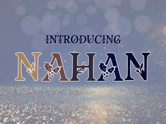 Nahan Serif: A Designer’s Practical Review