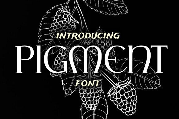 Pigment Serif Font: Elevate Your Campaign Visuals