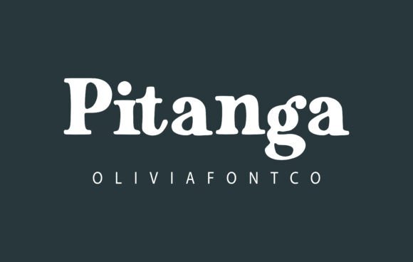 Pitanga Font: A Romantic Serif for Branding