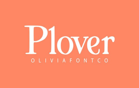 Plover Serif Font for Handmade Brands