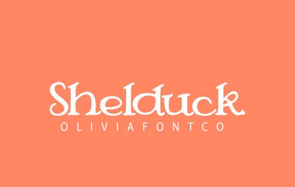 Shelduck Serif: A Designer’s Practical Review for Branding