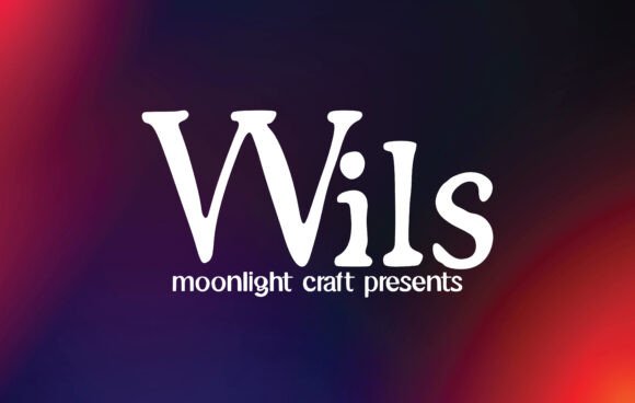 Wils Serif: A Designer’s Honest Review for Branding